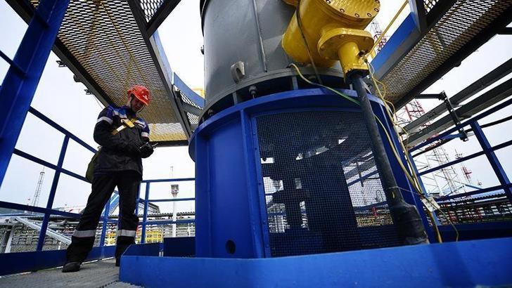 Rosneft'in net karı düştü