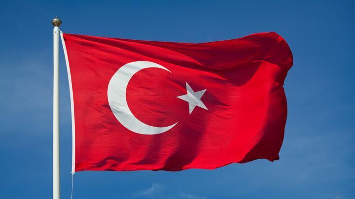 Uluslararası yatırımlardan alınan pay artıyor