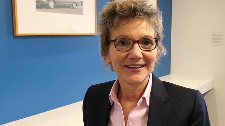 'Yüksek enflasyon bir risk değil'