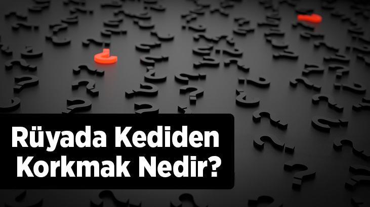 Rüyada Kediden Korkmak Nedir? Kedilerden Korktuğunu Görmek