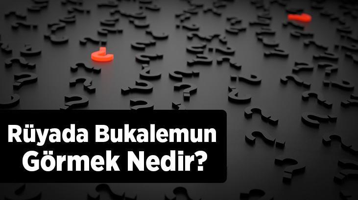 Rüyada Bukalemun Görmek Nedir? Yeşil, Mavi, Kırmızı Ve Sarı Bukalemunlar Görmek