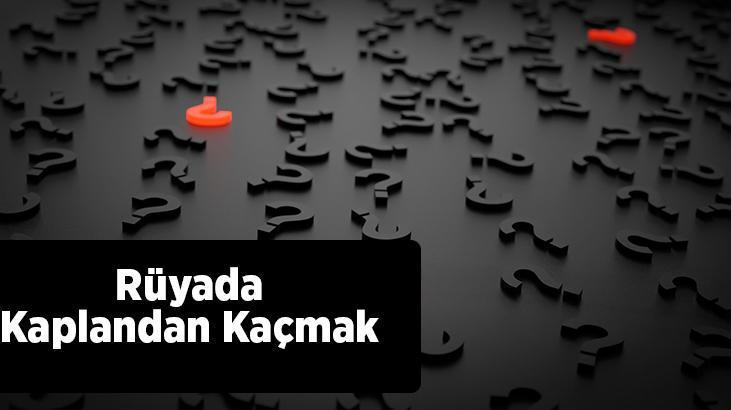 Rüyada Kaplandan Kaçmak Nedir? Siyah Ve Beyaz Kaplanlardan Kaçtığını Görmek