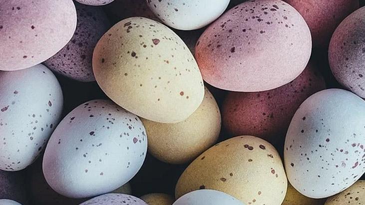 Rüyada Bıldırcın Yumurtası Görmek Nedir? Yumurta İçtiğini Görmek