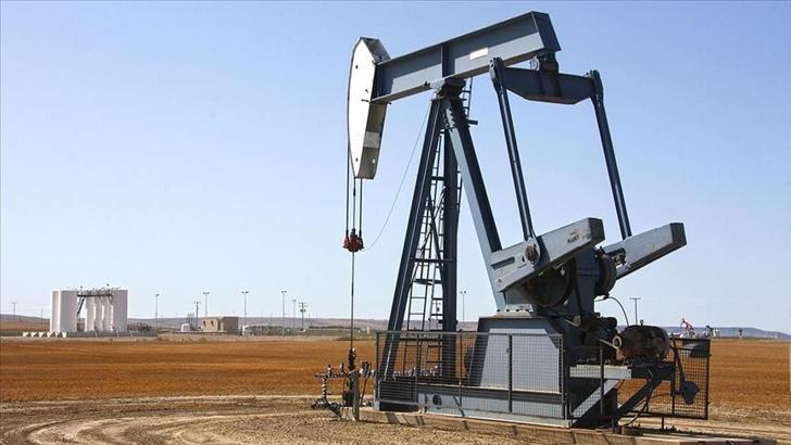 Küresel petrol talebi bu yıl artacak