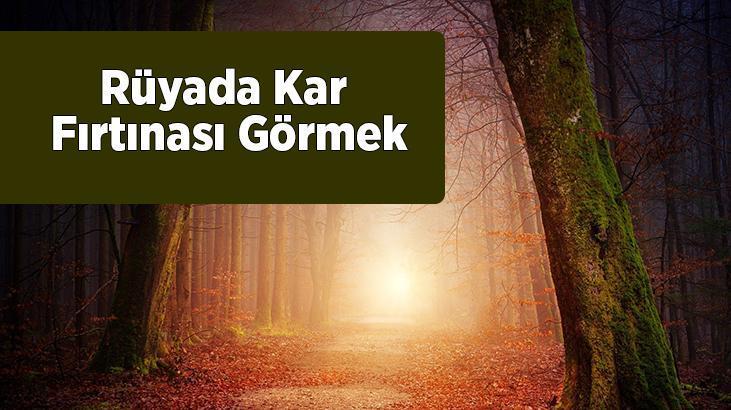 Rüyada Kar Fırtınası Görmek Nedir? Şiddekli Bir Kar Fırtanası Görmek