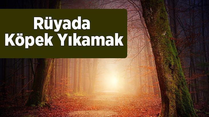 Rüyada Köpek Yıkamak Nedir? Siyah Ve Yavru Bir Köpeği Yıkadığını Görmek