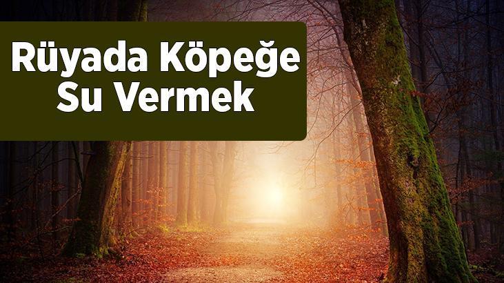 Rüyada Köpeğe Su Vermek Nedir? Yavru Bir Köpeğe Su Verdiğini Görmek