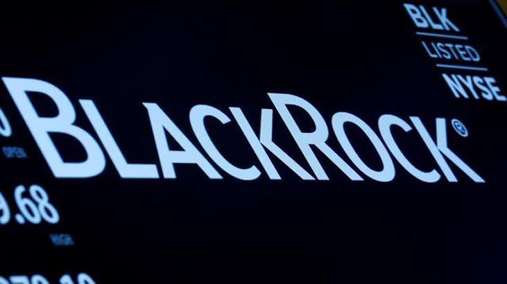 BlackRock ilk çeyrekte karını artırdı