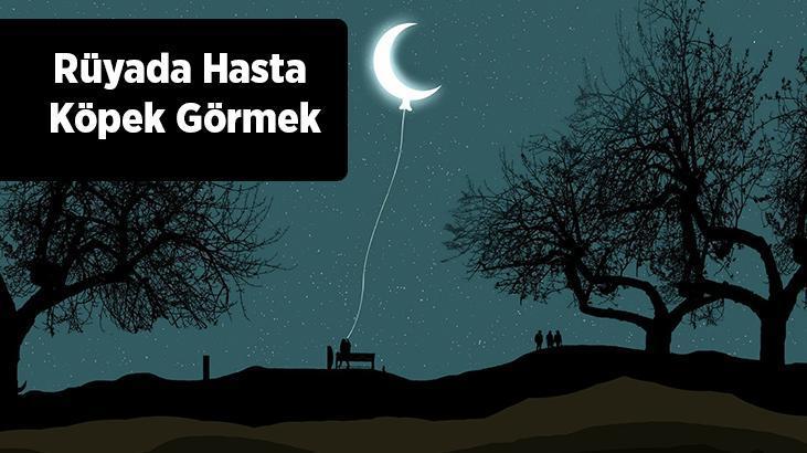 Rüyada Hasta Köpek Görmek Nedir? Sokakta Zayıf Ve Hasta Köpekler Görmek
