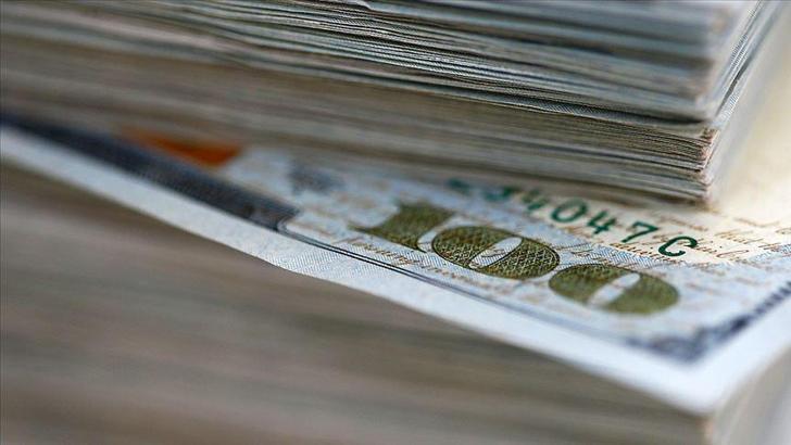 Reel efektif döviz kuru endeksi düştü