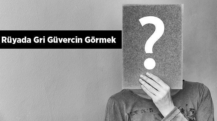 Rüyada Gri Güvercin Görmek Nedir? Havada Gri Güvercinlerin Uçtuğunu Görmek