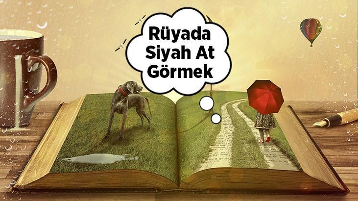 Rüyada Siyah At Görmek Ne Demek? Kuşan Siyah At Yavruları Görmek