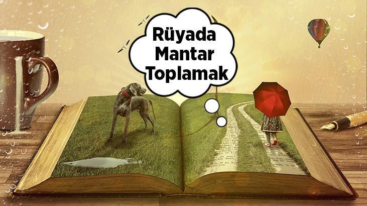 Rüyada Mantar Toplamak Ne Demek? Kırmızı, Sarı Ve Beyaz Mantarlar Topladığını Görmek