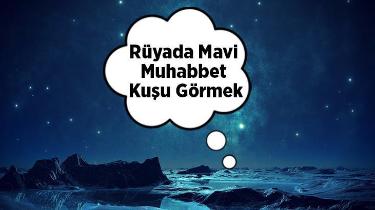 Rüyada Mavi Muhabbet Kuşu Görmek Ne Demek? Masmavi Muhabbet Kuşları Görmek