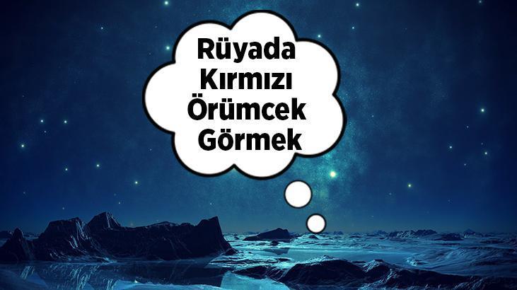 Rüyada Kırmızı Örümcek Görmek Nedir? Evin İçinde Büyük Kırmızı Örümcekler Görmek