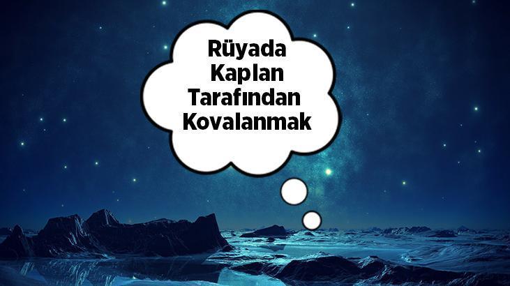 Rüyada Kaplan Tarafından Kovalanmak Nedir? Büyük Bir Kaplanın Kovaladığını Görmek