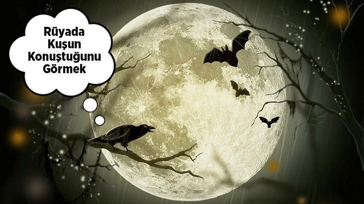 Rüyada Kuşun Konuştuğunu Görmek Ne Demek? Konuşan Muhabbet Kuşu Görmek