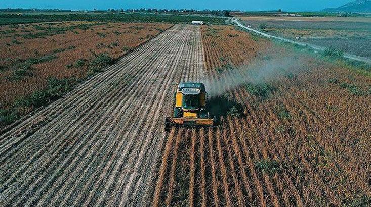 Tarım ÜFE mayısta azaldı