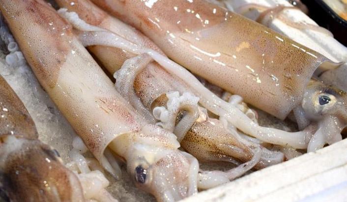 Kalamar Balığı Nedir? Nerelerde Yaşar Ve Kısaca Özellikleri Nelerdir ...