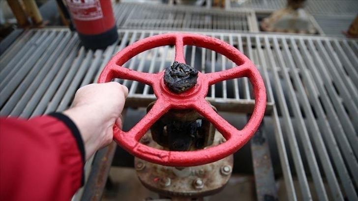 Almanya artan enerji fiyatlarını takibe aldı