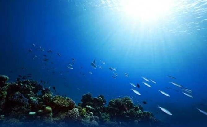 Okyanus hakkında az bilinen 9 ilginç bilgi