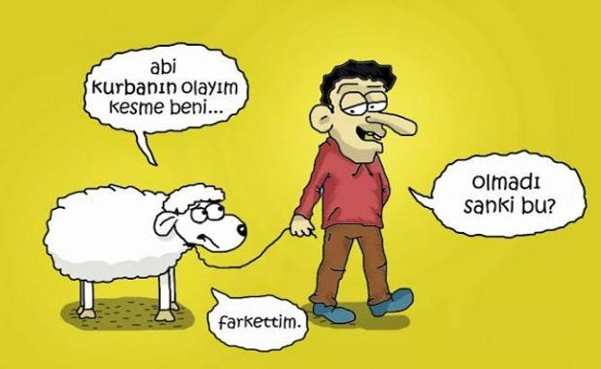 Kurban bayramı karikatürleri