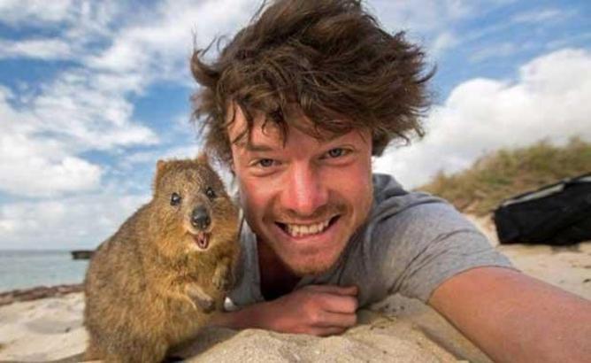 Hayvanlarla selfie çekilen adam