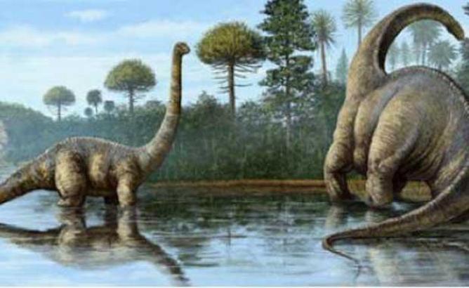 Dinozorlar Hakkında En İlginç Bilgiler