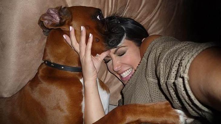 Kim Kardashian'ın köpeği Rocky estetik ameliyatla özgüven tazeledi