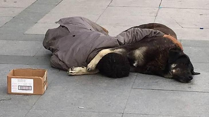 Taksim'de köpeğe sarılıp uyuyan çocuğun düşündürdükleri