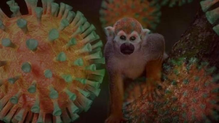 Maymun B virüsü nedir?