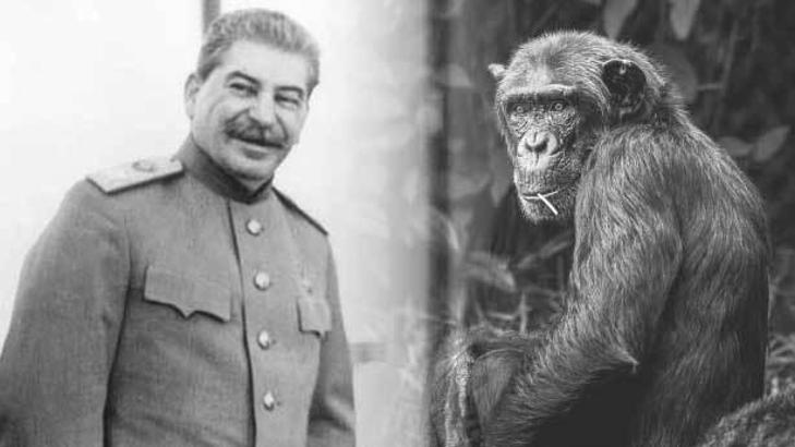Stalin'in dehşete düşüren 'maymun asker' projesi