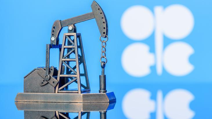 OPEC'ten petrol uyarısı