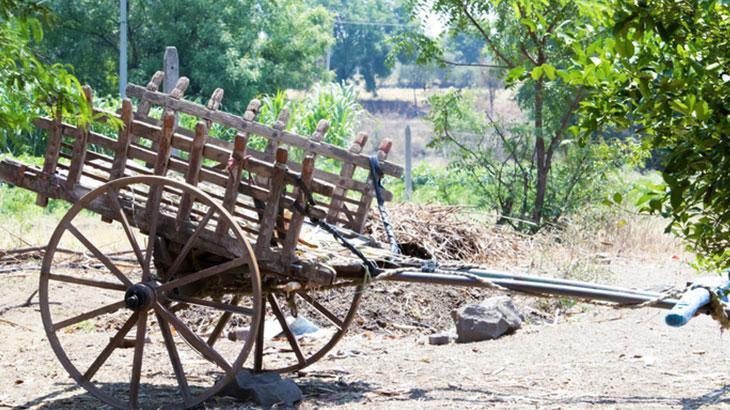 Rüyada Kağnı Görmek Ne Anlama Gelir?