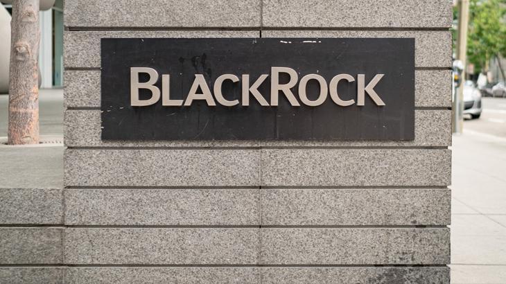 BlackRock global iş gücünü azaltacak