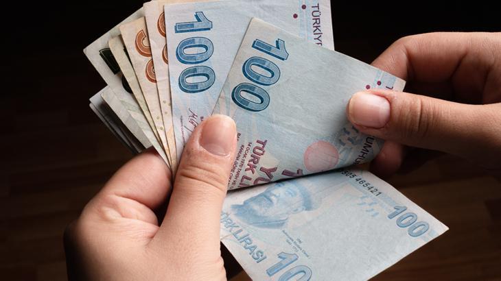 TL mevduatların payı 6.5 ayın zirvesinde