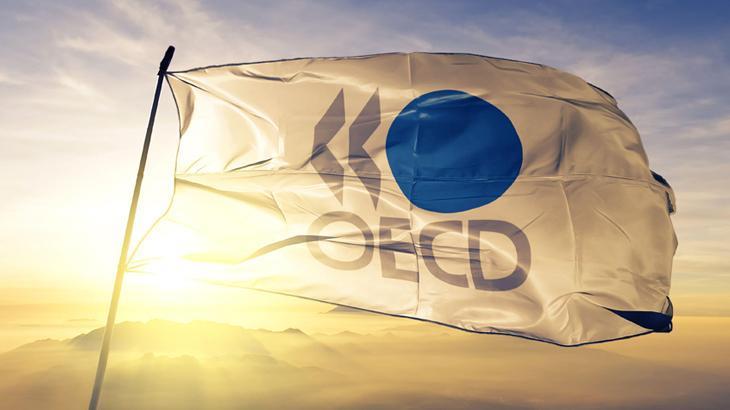 OECD bölgesinde enflasyon 2 yılın dibinde