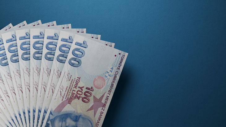 Hazine, 2 ihalede borçlandı