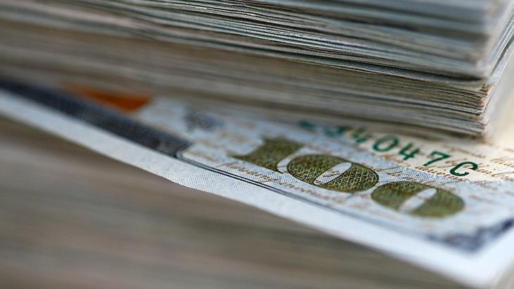 Reel efektif döviz kuru endeksi geriledi