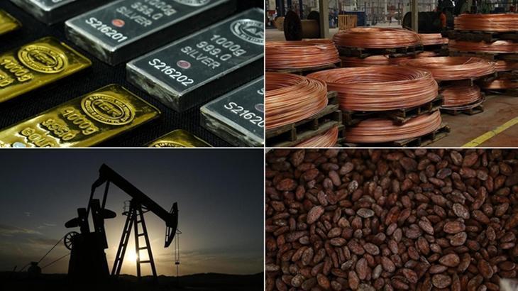 Emtia piyasası geçen ay yükseldi