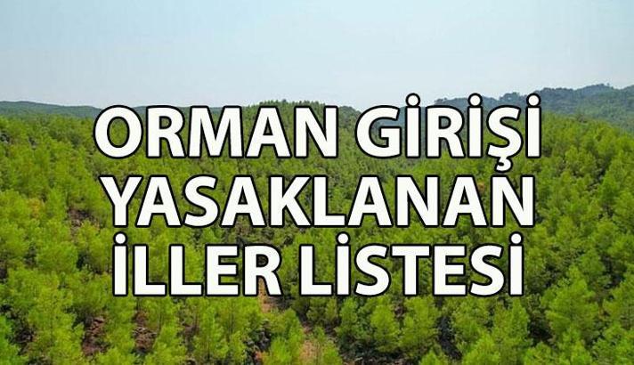 ORMAN GİRİŞİ YASAKLANAN İLLER | Hangi illerde ormanlara giriş yasaklandı? İstanbul'da girişi yasak olmayan piknik alanları