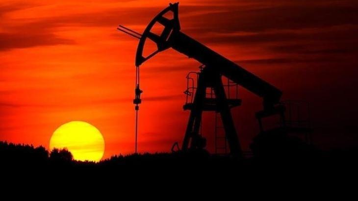 Hindistan'ın Rusya'dan ham petrol alımı arttı