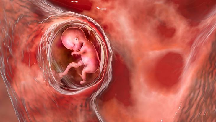 Hamilelikte damar tıkanıklığının yaratacağı tehlike ve tedavi yöntemi