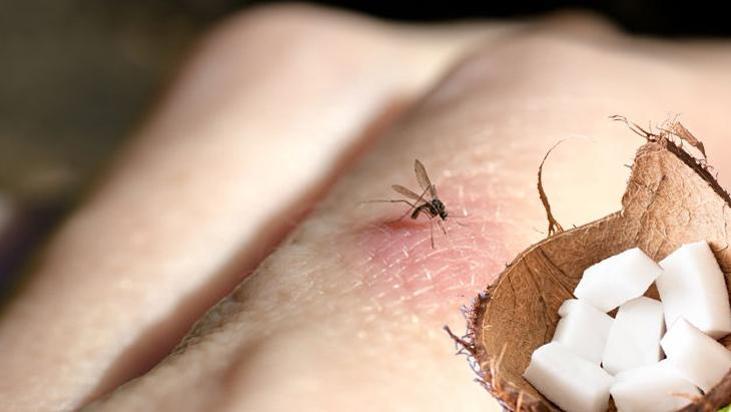 Sivrisinekler kokusuna asla dayanamıyor! Duş alırken sürün, kesin çaresi buymuş