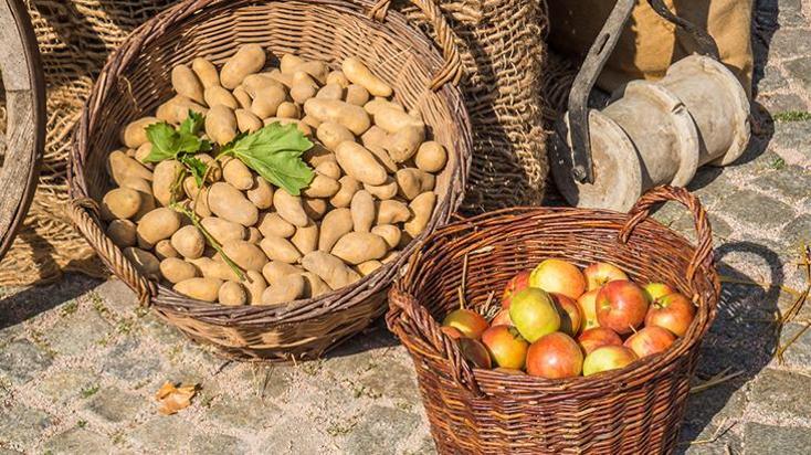 Mutfakta hayat kurtaran 5 tüyo! Patateslerin bozulmasını önlemek için elma kullanın