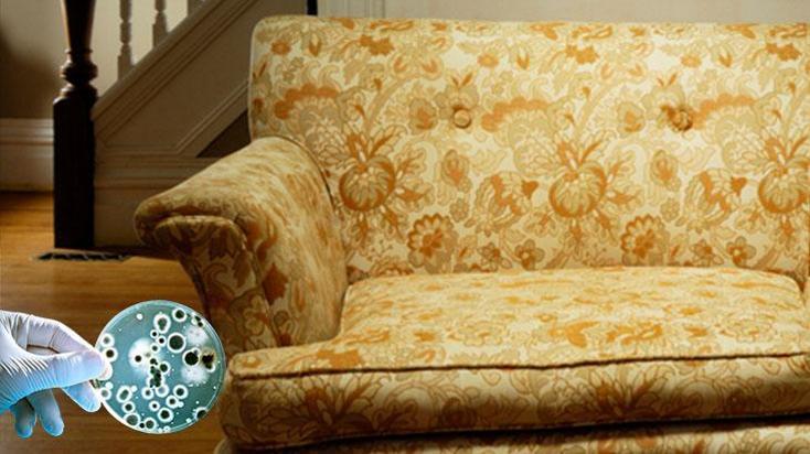 Klozetten 75 kat daha pis, salonda baş köşede duruyor! Karbonat tek çaresi