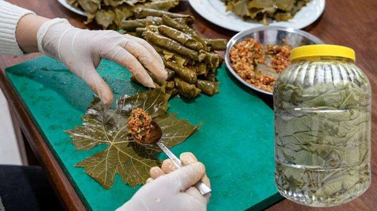 Yaprağı tuzla ezmek tarih oldu! Rulo yöntemiyle aylarca zahmetsiz taptaze kalıyor