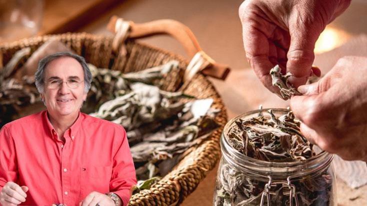 Ter kokusuna içten müdahale! Her gün için, Saraçoğlu formülüyle ıslaklık da kalmıyor