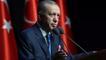 Cumhurbaşkanı Erdoğan: Savunma kabiliyetimizi bir kez daha izleme fırsatı bulduk