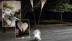 Güney Kore'de balon paniği! Aniden gökyüzünde belirdi, uyarı üstüne uyarı geldi